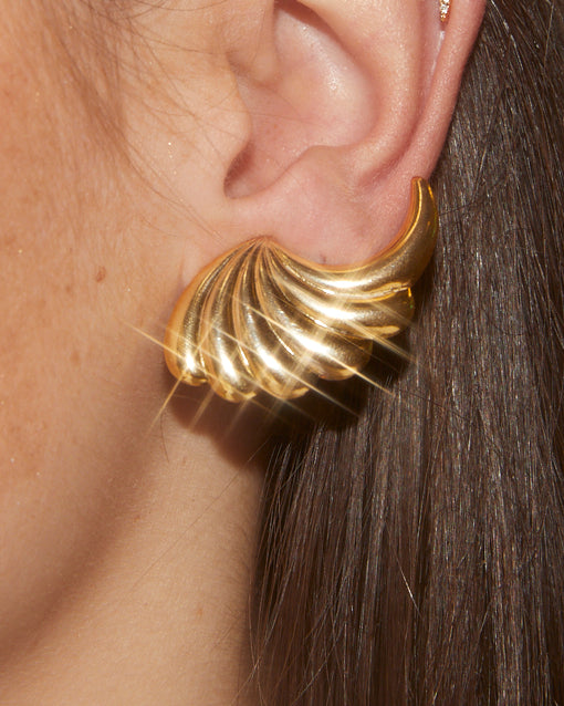 Boucles d'oreilles Ailes