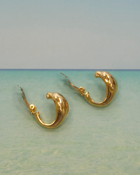 Boucles d'oreilles Dauphins