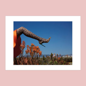 Leg up