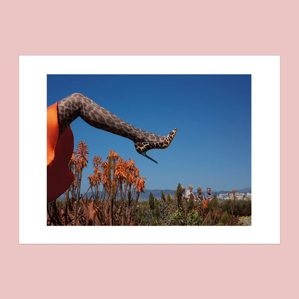 Leg up